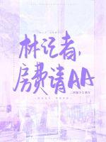 林记者,房费请AA