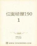 位面经理1901