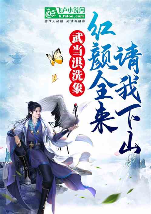 武侠：武当洪洗象,骑鹤下江南